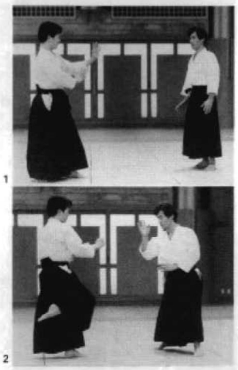 Daitoryu photo 225