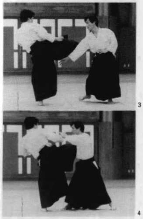 Daitoryu photo 226