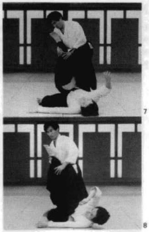Daitoryu photo 227
