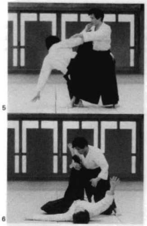 Daitoryu photo 228