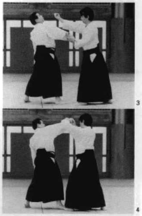 Daitoryu photo 231