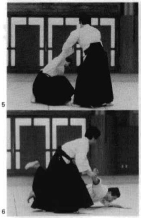 Daitoryu photo 232