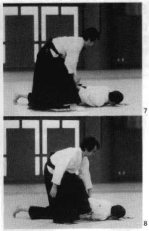 Daitoryu photo 233