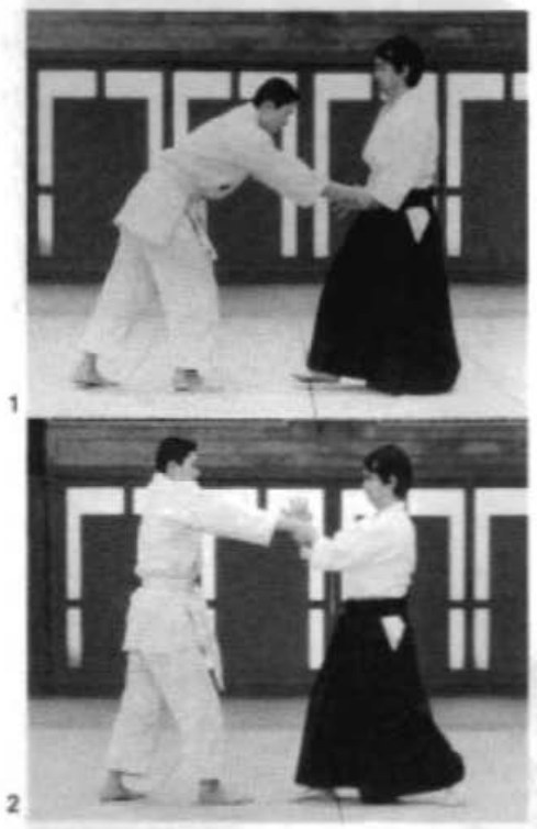 Daitoryu photo 235