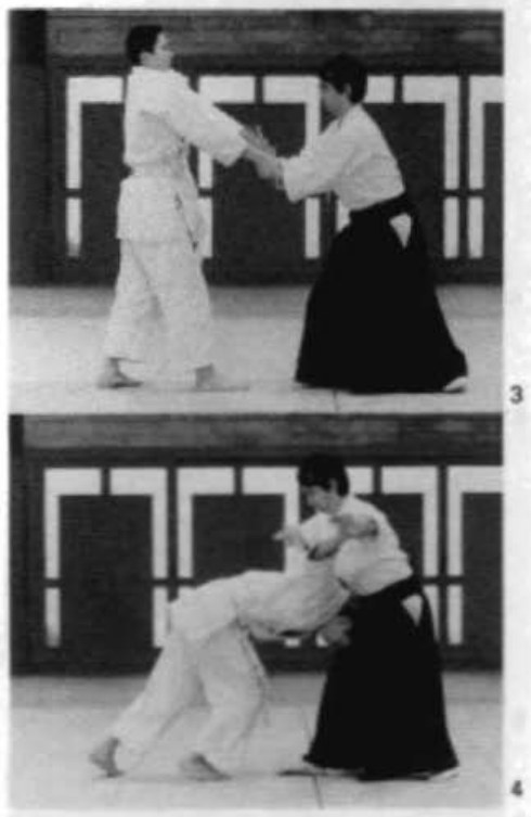Daitoryu photo 236