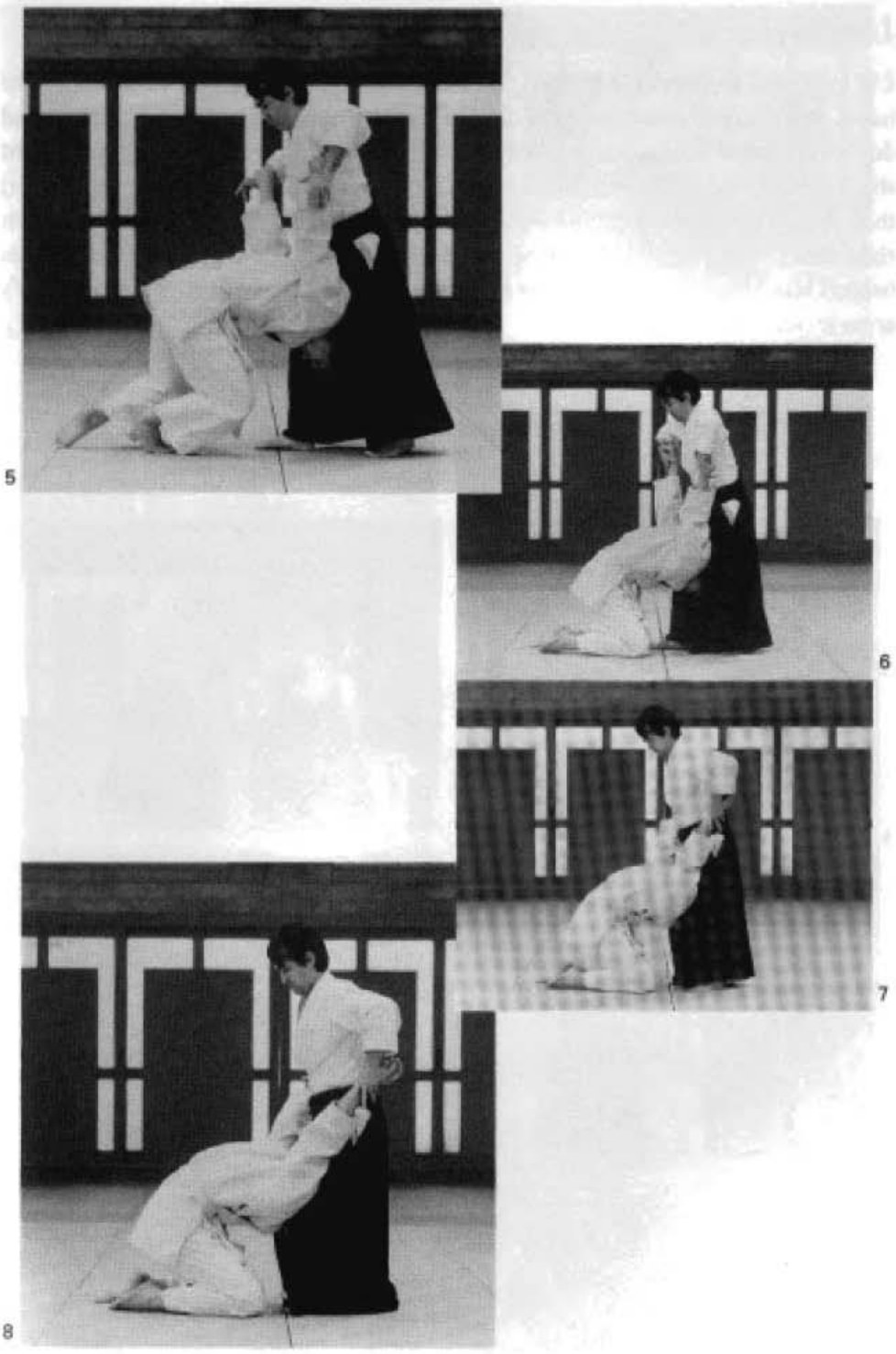 Daitoryu photo 237