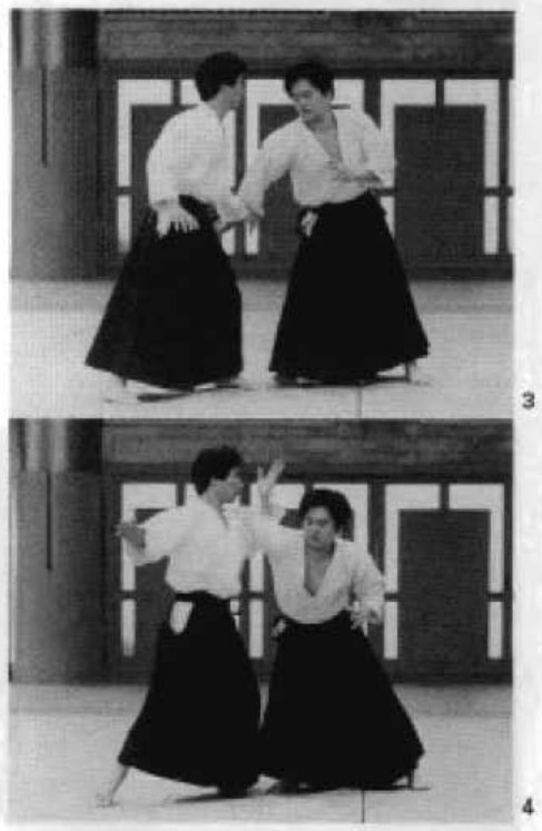 Daitoryu photo 239