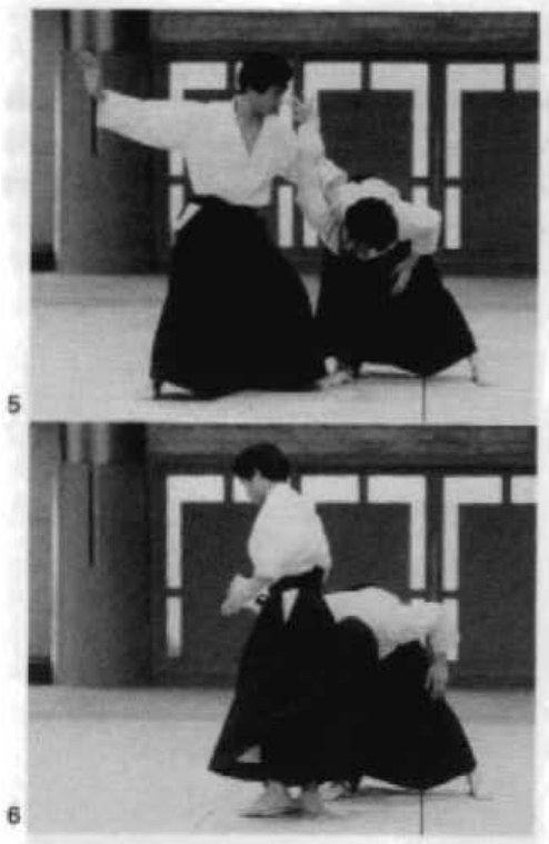Daitoryu photo 240