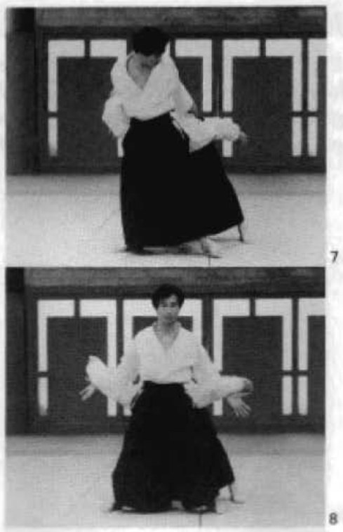 Daitoryu photo 241