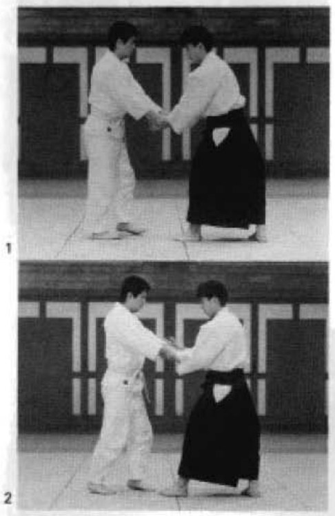 Daitoryu photo 243