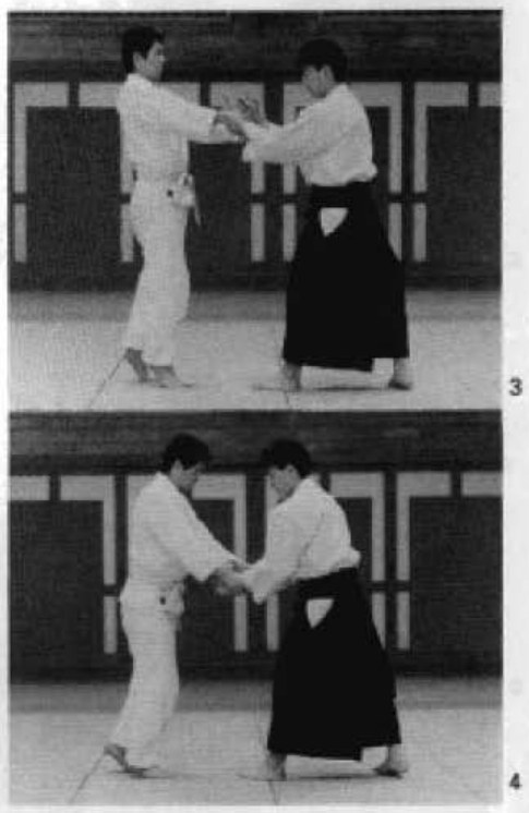 Daitoryu photo 244