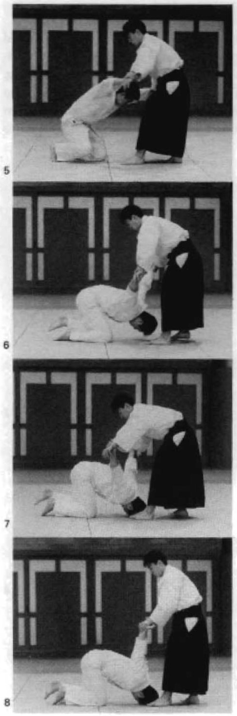 Daitoryu photo 245