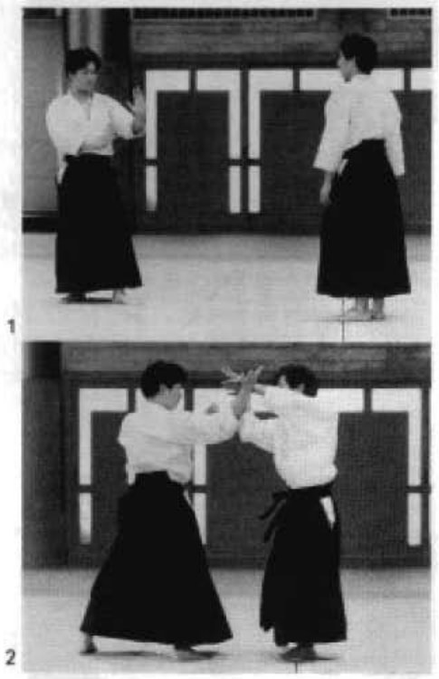 Daitoryu photo 247