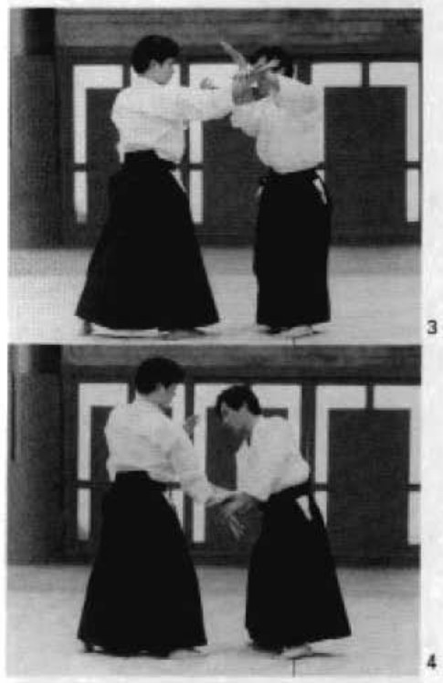 Daitoryu photo 248