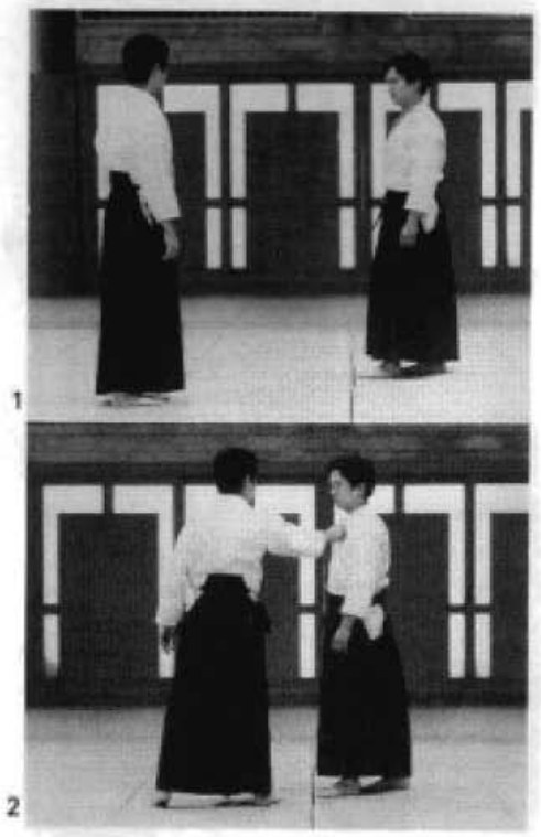 Daitoryu photo 251