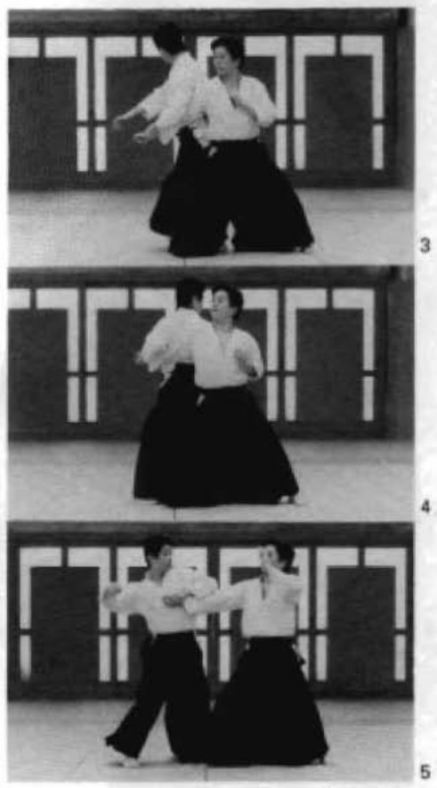 Daitoryu photo 257