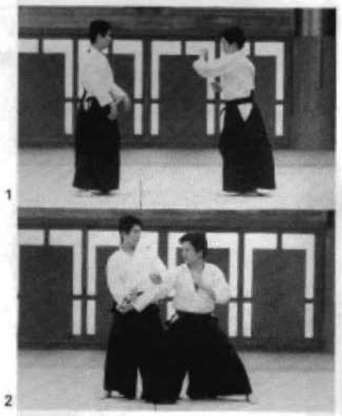 Daitoryu photo 258