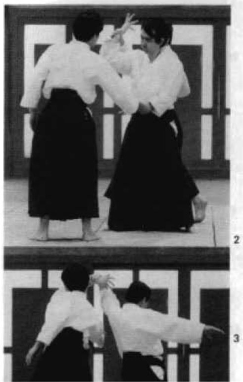Daitoryu photo 261