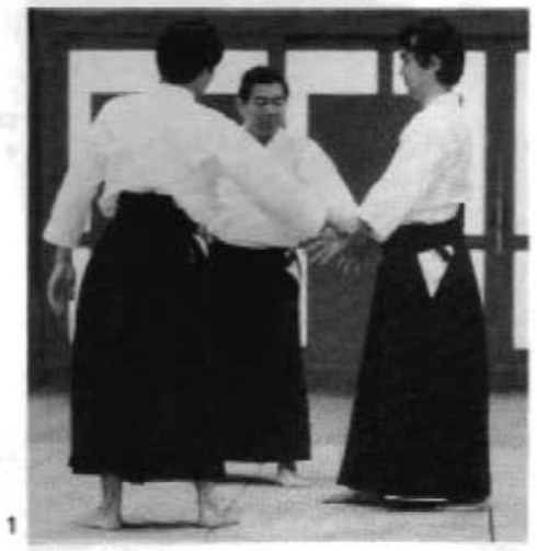 Daitoryu photo 262
