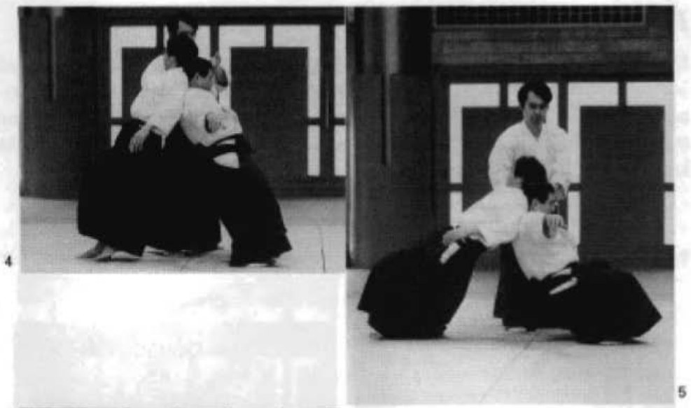 Daitoryu photo 263