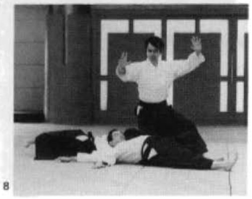 Daitoryu photo 265
