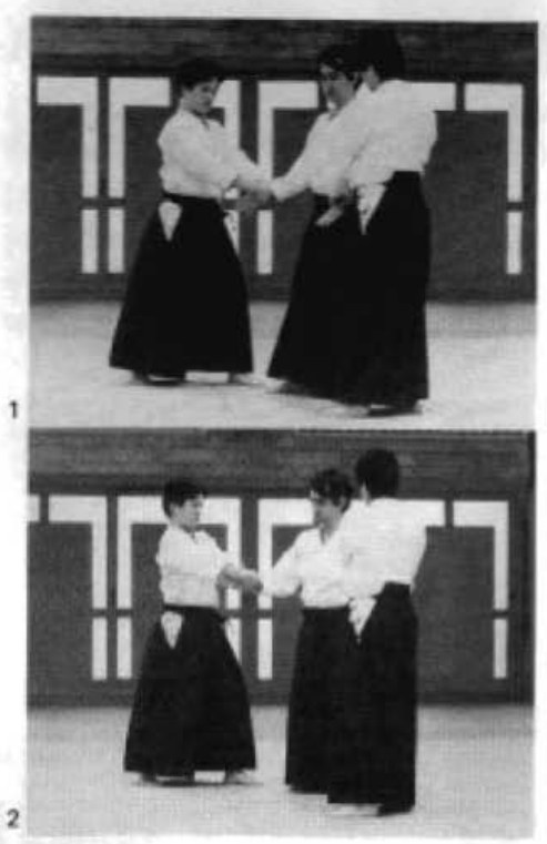 Daitoryu photo 266