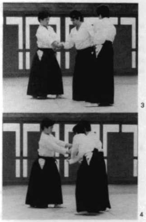 Daitoryu photo 267