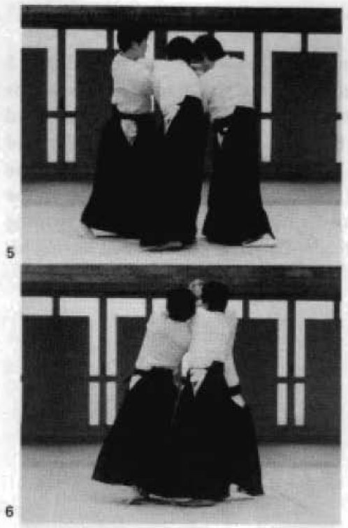 Daitoryu photo 268