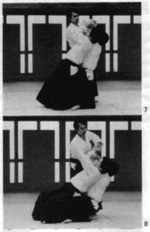 Daitoryu photo 269