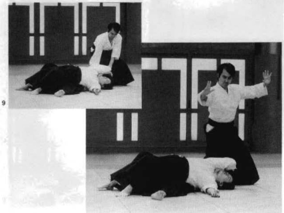 Daitoryu photo 270