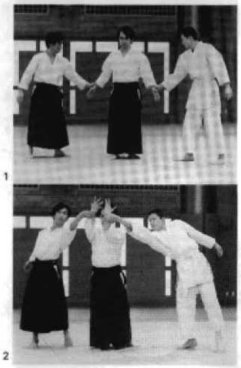 Daitoryu photo 271