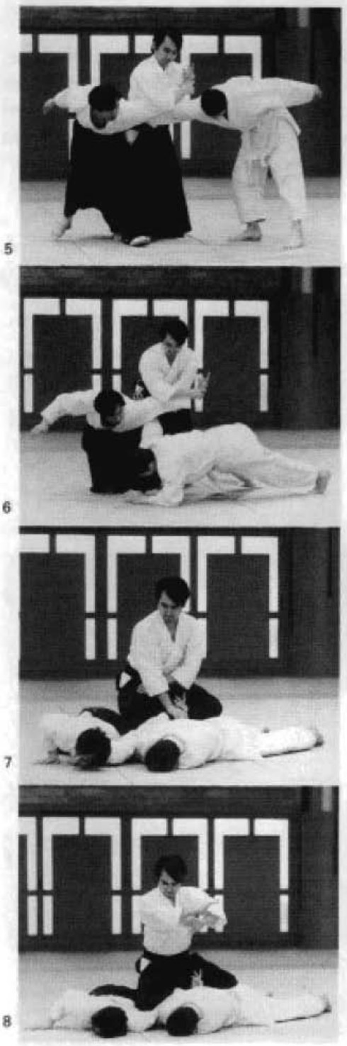 Daitoryu photo 274