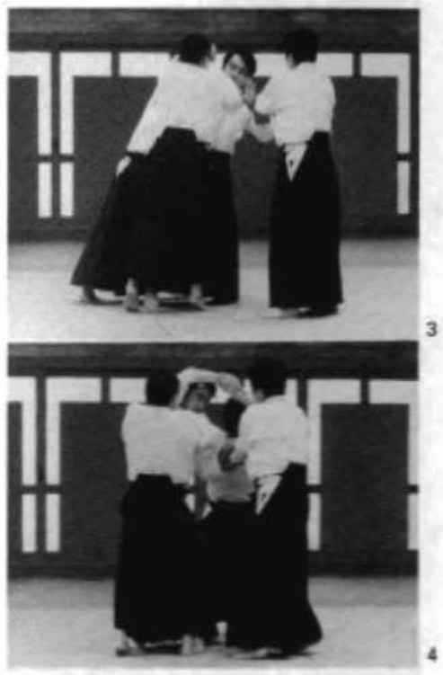 Daitoryu photo 276