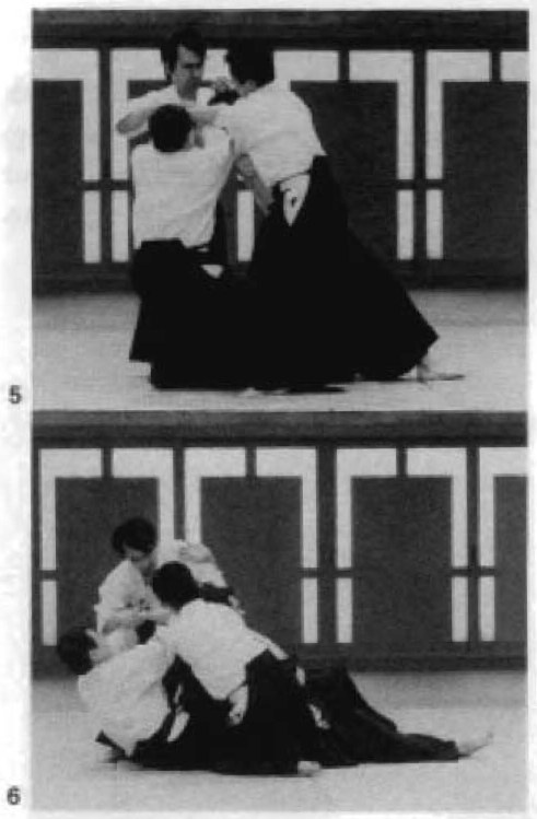 Daitoryu photo 277