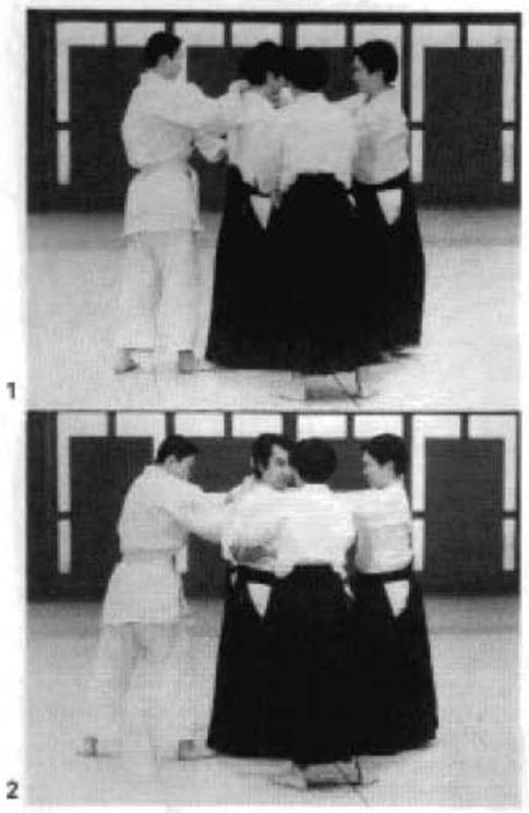 Daitoryu photo 279