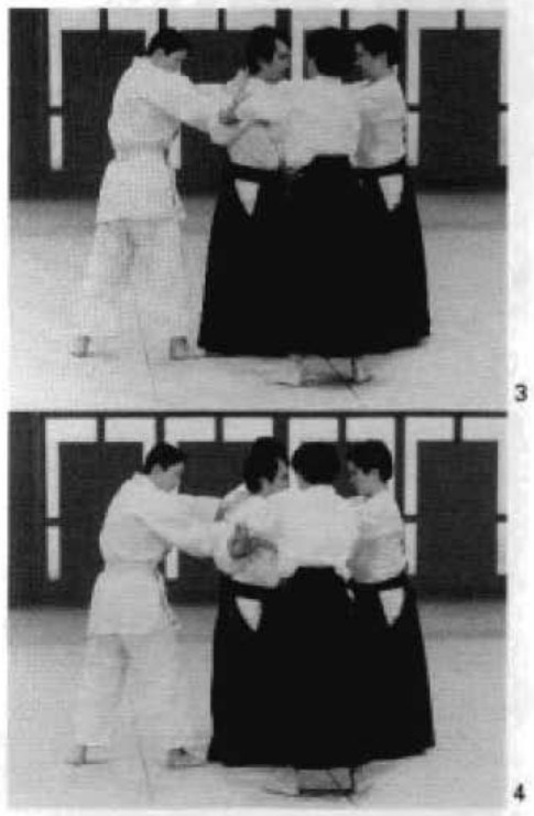 Daitoryu photo 280