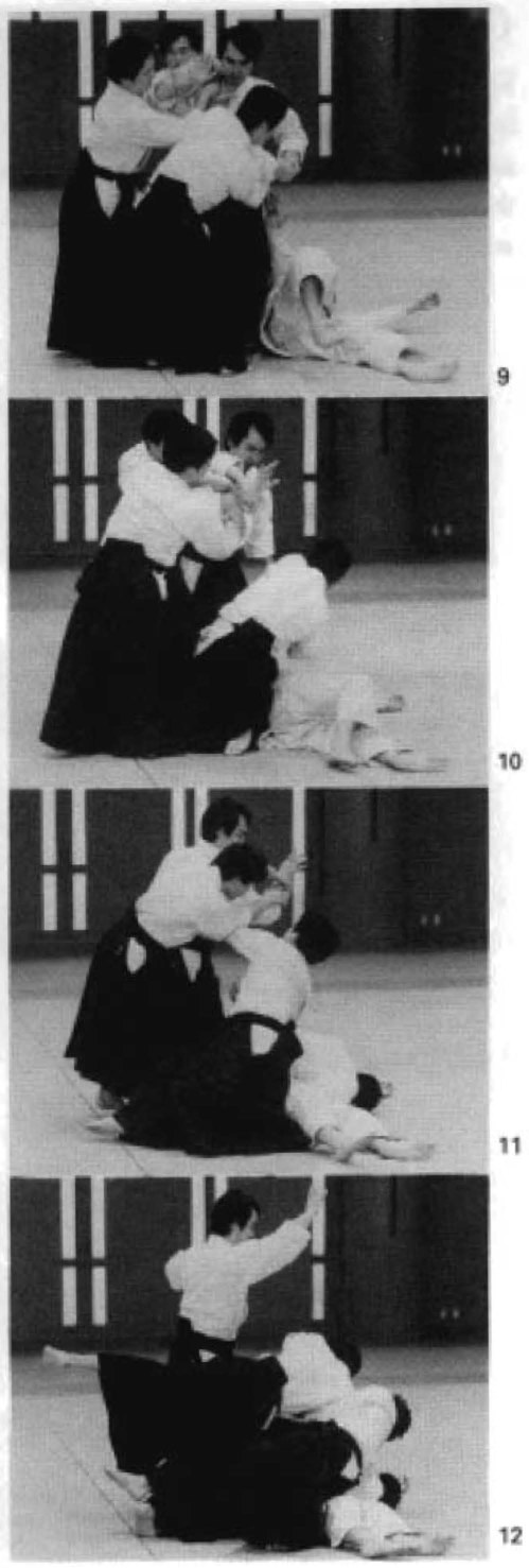 Daitoryu photo 282