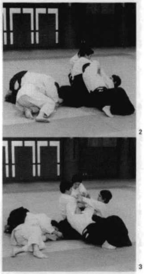 Daitoryu photo 283
