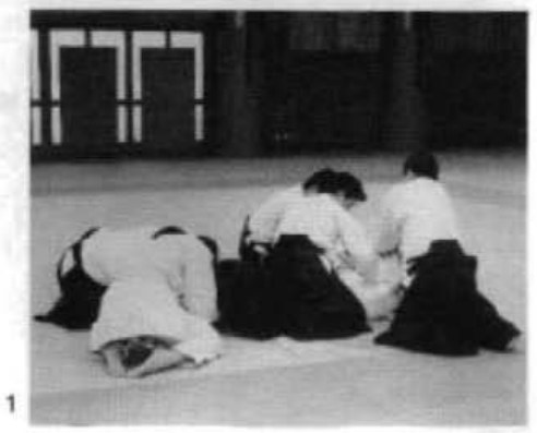 Daitoryu photo 284