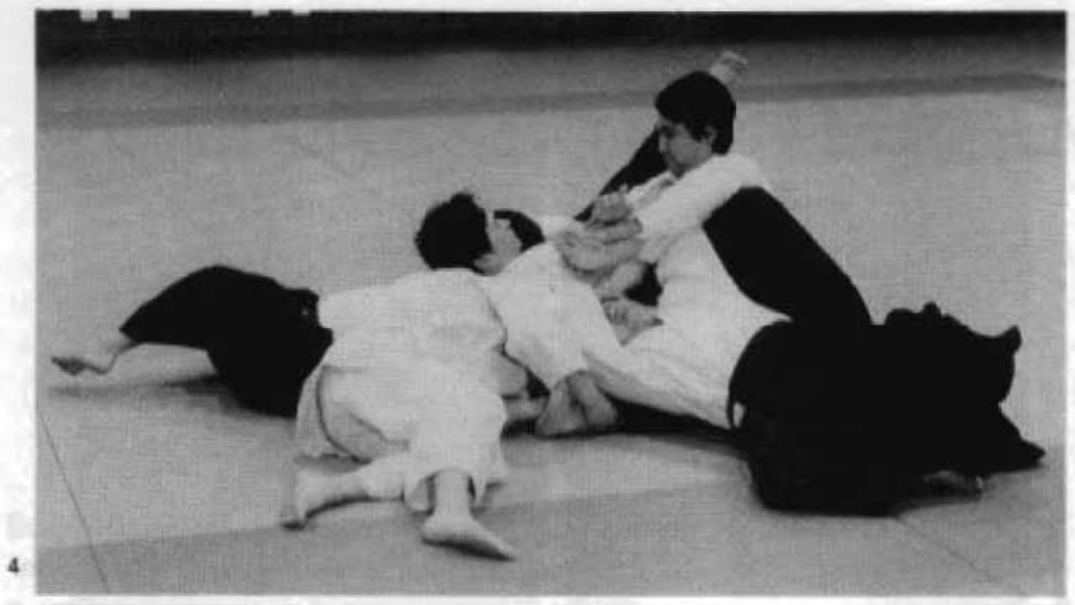 Daitoryu photo 285