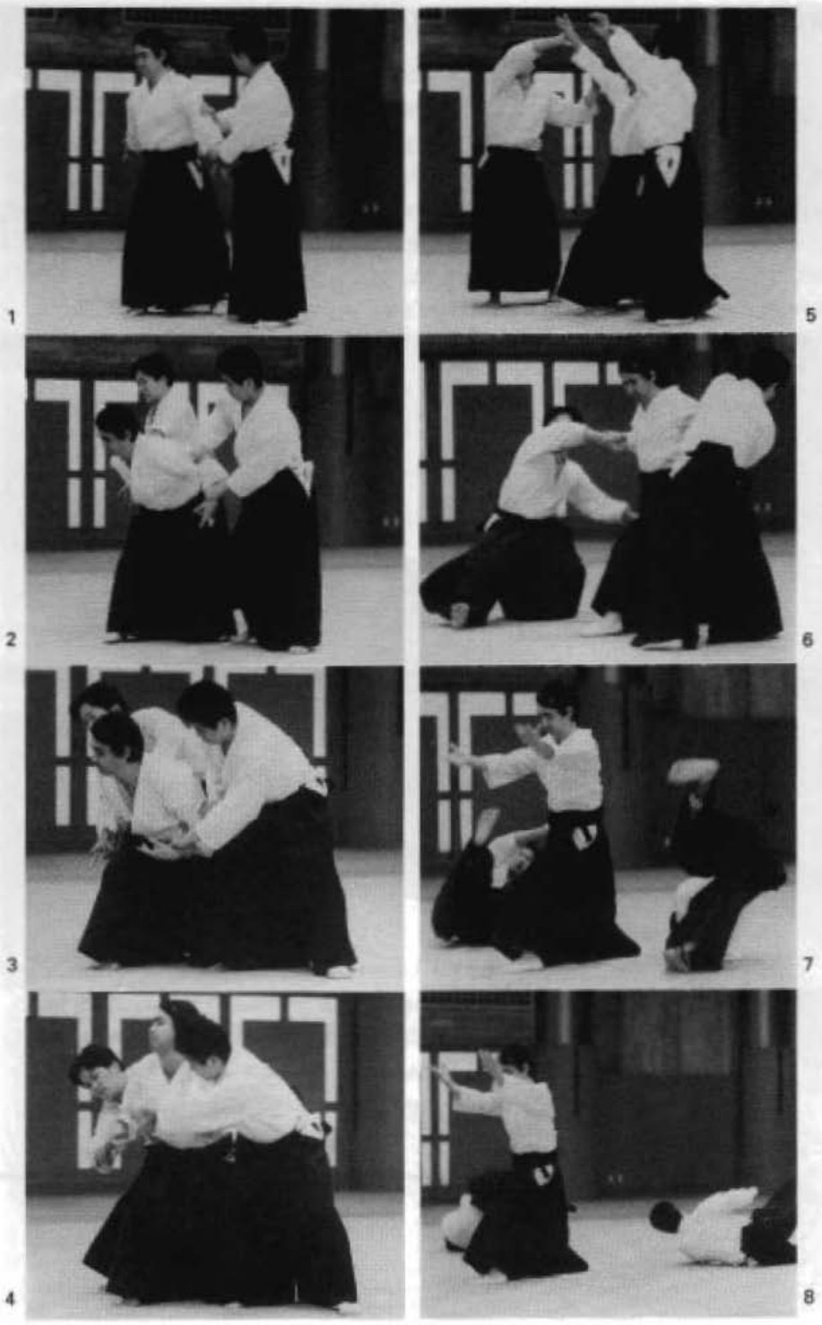 Daitoryu photo 287