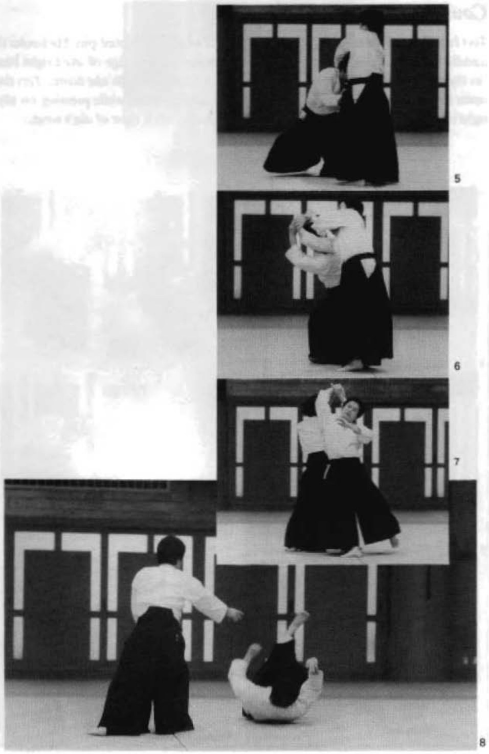 Daitoryu photo 291