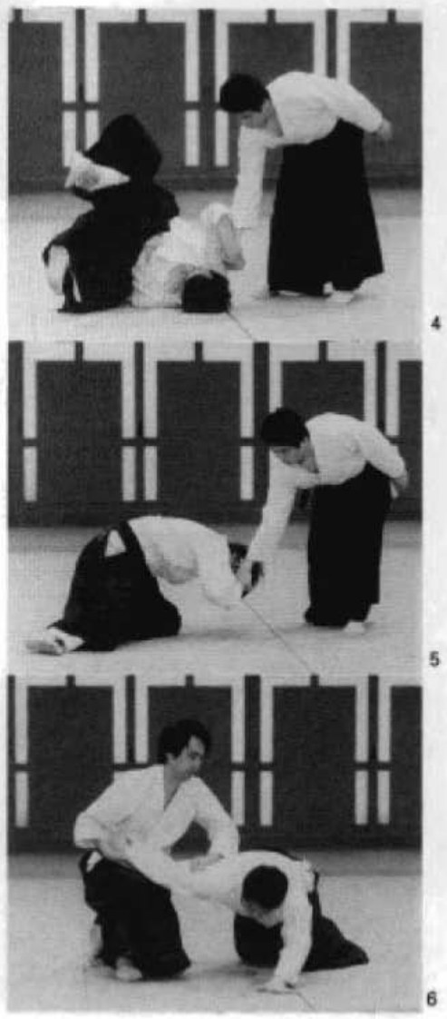 Daitoryu photo 293