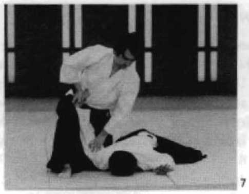 Daitoryu photo 294