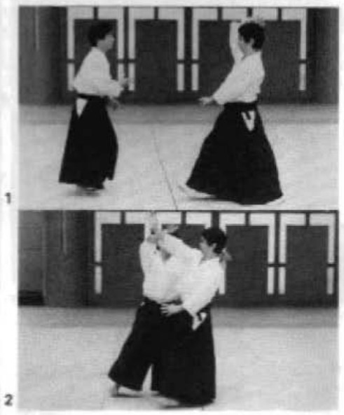 Daitoryu photo 296