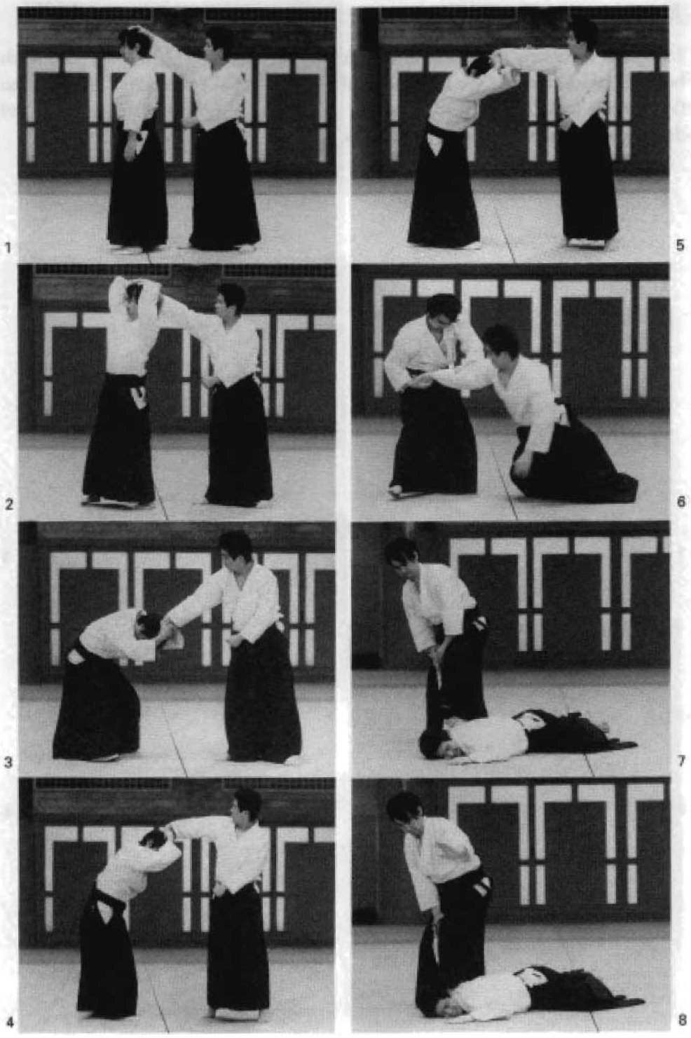 Daitoryu photo 300