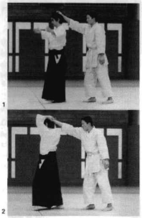 Daitoryu photo 301