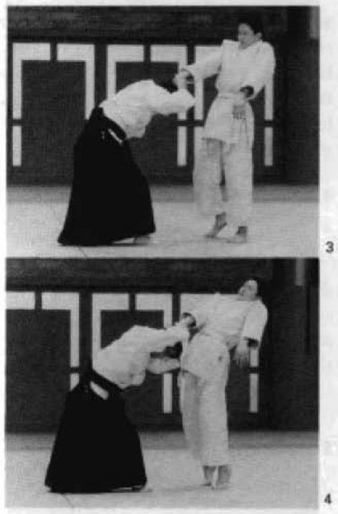 Daitoryu photo 302