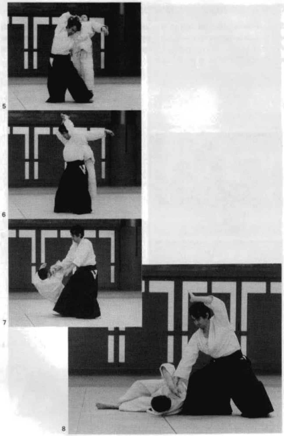 Daitoryu photo 303