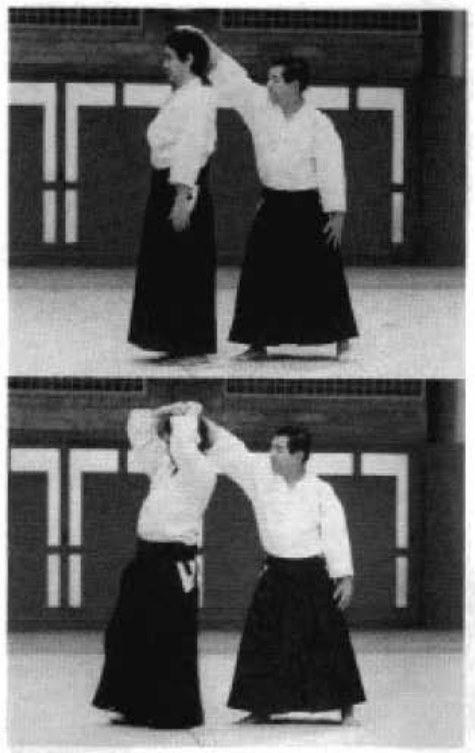 Daitoryu photo 304